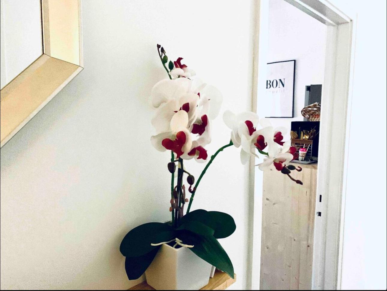 Self-Check In Sunny & Charming Apt Coimbra Exterior foto
